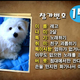 Image for article titled Speak-Up On Kotaku: Fake E3 Leaks, Dog Voting, Bad Genres, And Retired Pirates